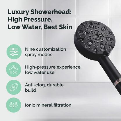 Combiné de douche mural &amp; de luxe à 9 modes avec kit de filtration